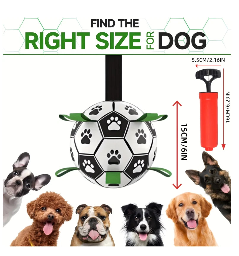 Pet Dog Football Toy Puppy Outdoor Training Interactive Soccer Play Ball